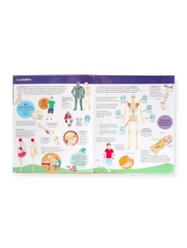 Il Corpo Umano — Libro - 2