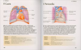 Il Corpo Umano — Libro - 3