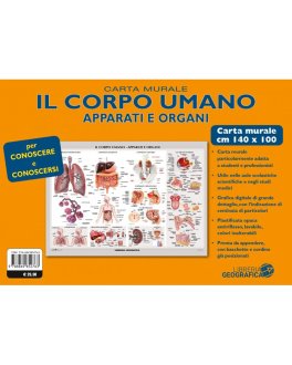 Il Corpo Umano: Apparati e Organi - Carta Murale — Poster - 2