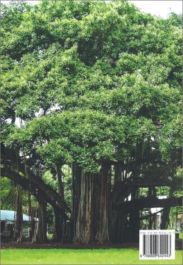 Il Cuore dell'Ayurveda — Libro - 2