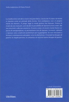 Il Cuore dell'Insegnamento del Buddha — Libro - 2