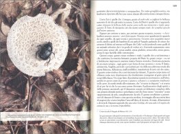 Il Danzatore Sciamano — Libro - 4