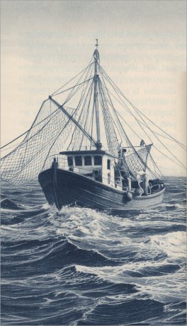 Il Delfino e la Voce dell'Oceano — Libro - 3