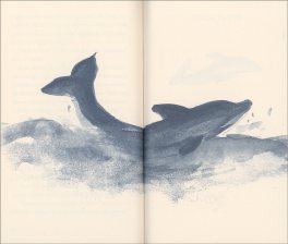 Il Delfino - Storia di un Sognatore — Libro - 3