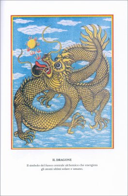Il Diario di un Alchimista — Libro - 2