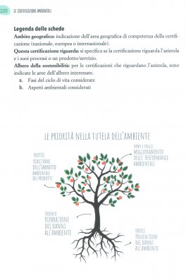 Il Dilemma del Consumatore Green — Libro - 4