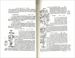 Il Dioscoride - Tomo II — Libro - 3