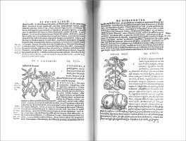 Il Discoride - Tomo I — Libro - 3