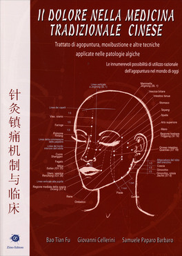 Il Dolore Nella Medicina Tradizionale Cinese — Libro - 1