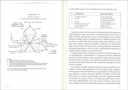 Il Doppio Eterico e altri fenomeni — Libro - 3