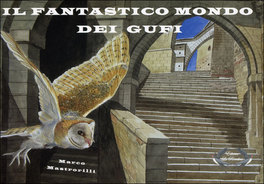 Il Fantastico Mondo dei Gufi — Libro - 1