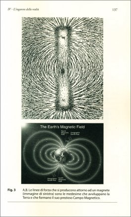 Il Fattore C — Libro - 4