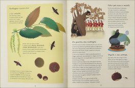 Il Favoloso Mondo degli Alberi — Libro - 3