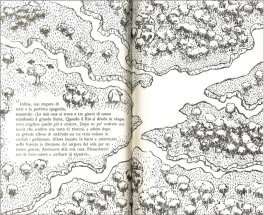 Il Fiore Perduto dello Sciamano di K — Libro - 3