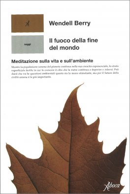 Il Fuoco della Fine del Mondo — Libro - 1