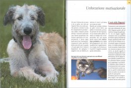 Il Galateo per il Cane — Libro - 3