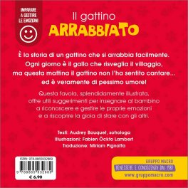 Il Gattino Arrabbiato — Libro - 2