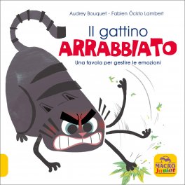 Il Gattino Arrabbiato — Libro - 1