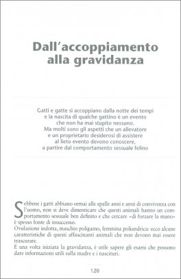 Il Gatto — Libro - 3