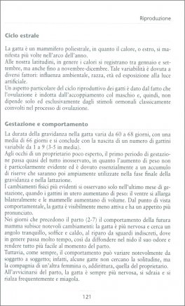 Il Gatto — Libro - 4