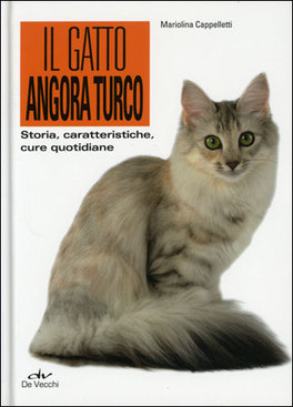 Il Gatto Angora Turco
