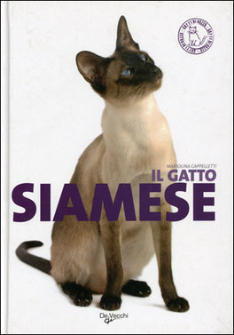 Il Gatto Siamese