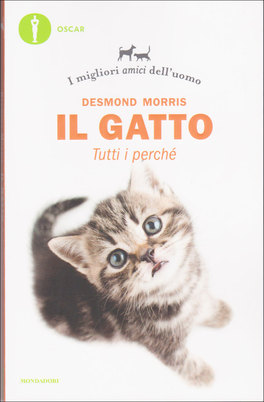 Il Gatto - Tutti i Perchè
