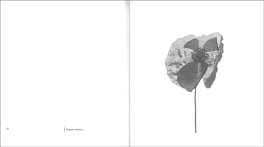 Il Giardino delle Erbacce — Libro - 3