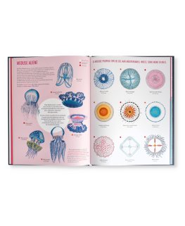 Il Giardino delle Meduse — Libro - 3