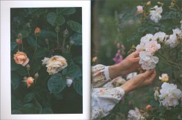 Il Giardino Officinale — Libro - 3