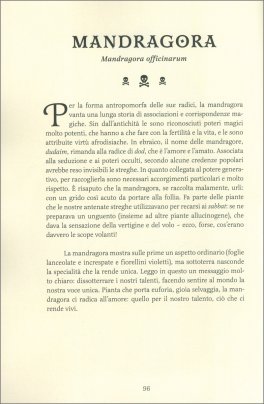 Il Giardino Segreto della Strega — Libro - 3