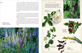 Il Giardino Svelato — Libro - 3