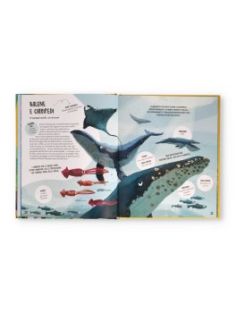 Il Gioco di Squadra! Impariamo dagli Animali — Libro - 2