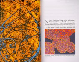 Il Grande Disegno — Libro - 3