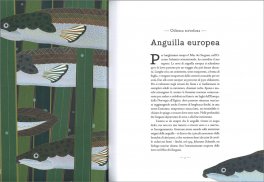 Il Grande Libro degli Animali in Via d'Estinzione — Libro - 3