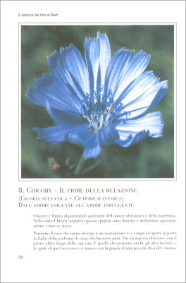 Il Grande Libro dei Fiori di Bach — Libro - 3