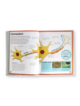 Il Grande Libro del Corpo Umano — Libro - 3