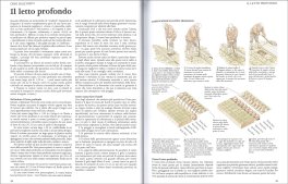 Il Grande Libro dell'Autosufficienza — Libro - 4