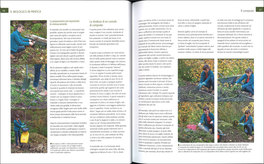Il Grande Libro dell'Orto e Giardino Biologico — Libro - 3