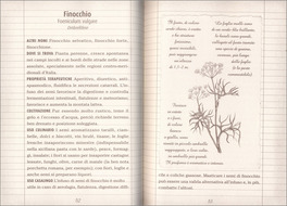 Il Grande Libro delle Erbe di orti, prati e boschi — Libro - 3