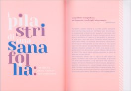 Il Grande Libro delle Piccole Follie — Libro - 3