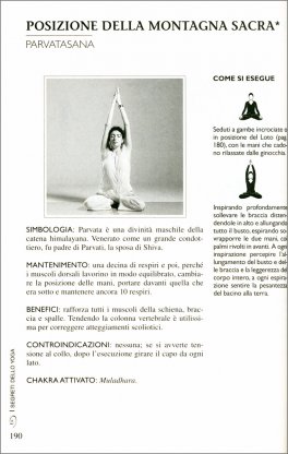 Il Grande Libro dello Yoga — Libro - 2