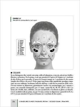 Il Grande Libro di Aneliti, Fragranze, Profumi — Libro - 3