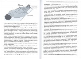 Il Grande Libro di Medicina e Psicologia Energetico Vibrazionale - Volume 2 — Libro - 3