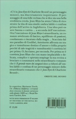 Il Grande Mare dei Sargassi — Libro - 2