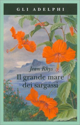 Il Grande Mare dei Sargassi — Libro - 1