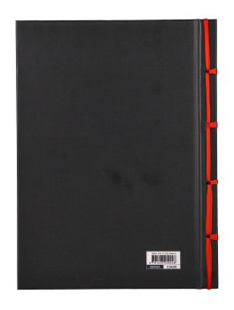 Il Kamasutra — Libro - 4