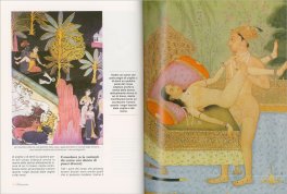 Il Kamasutra Illustrato — Libro - 4