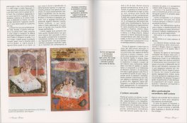 Il Kamasutra Illustrato — Libro - 5