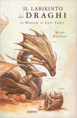 Il Labirinto dei Draghi — Libro - 1